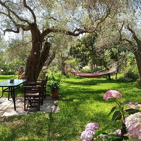כריסי אמודיה Hotel George חדר תמונה
