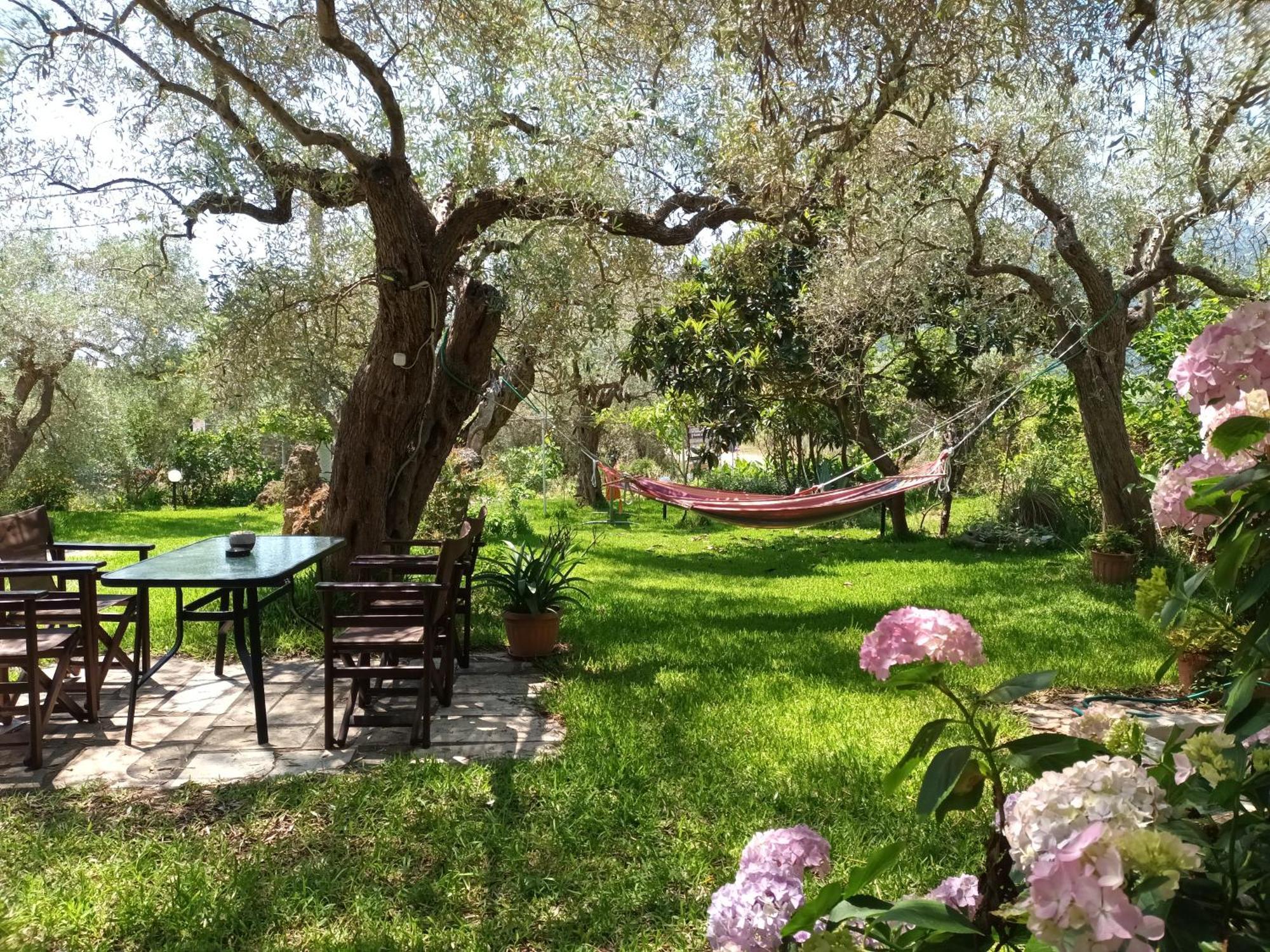 כריסי אמודיה Hotel George חדר תמונה