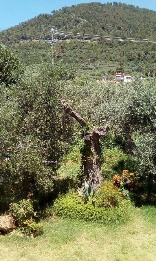 כריסי אמודיה Hotel George מראה חיצוני תמונה